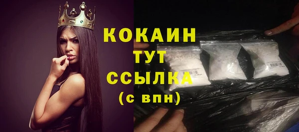тгк Касимов