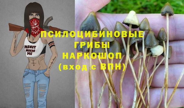 крисы Карпинск