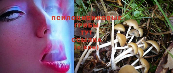 кокс Карталы
