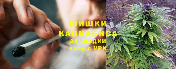 крисы Карпинск